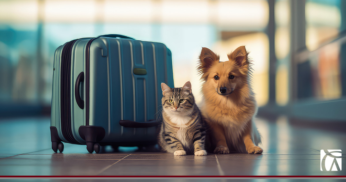 Moving to Malta: Applying for a European Pet Passport Img